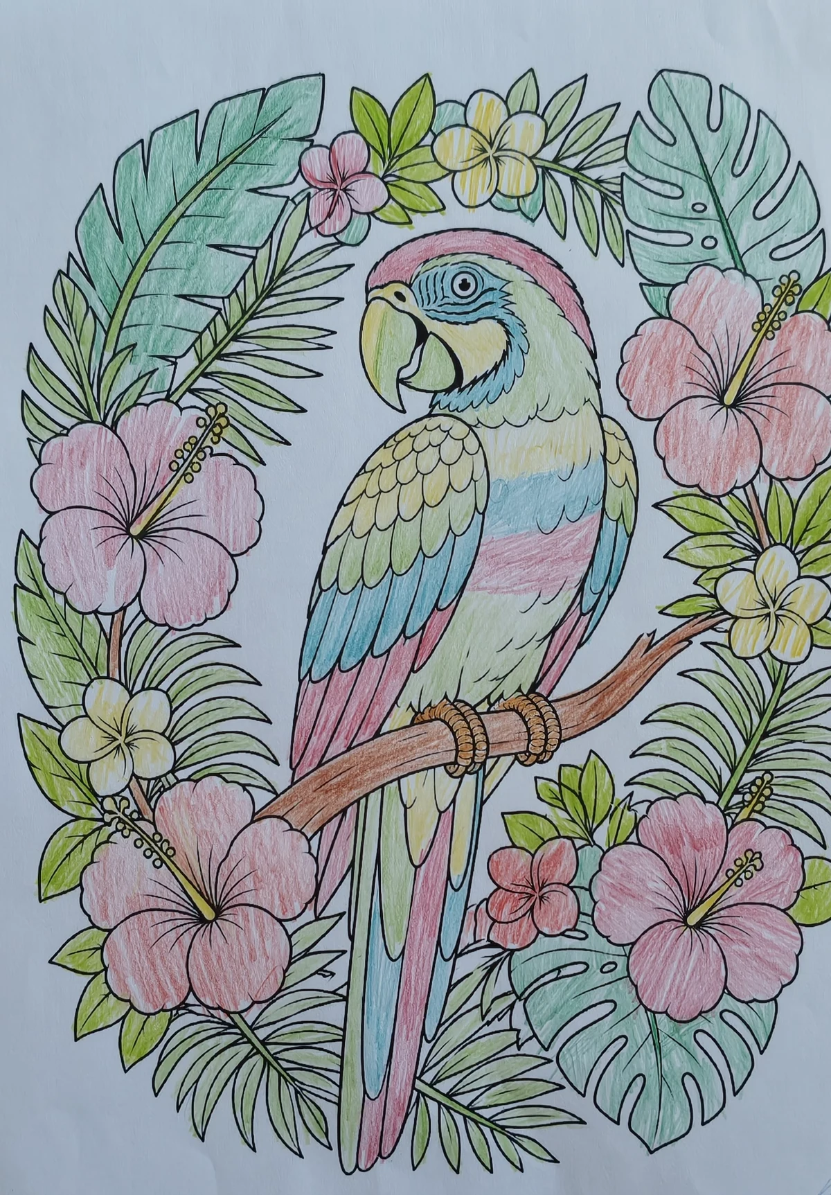 Hand-colored tropical parrot coloring page